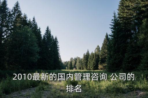 2010最新的國(guó)內(nèi)管理咨詢 公司的排名