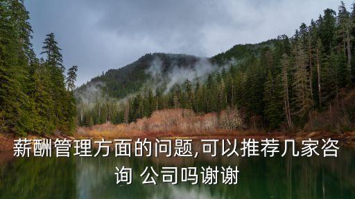 薪酬管理方面的問(wèn)題,可以推薦幾家咨詢 公司嗎謝謝