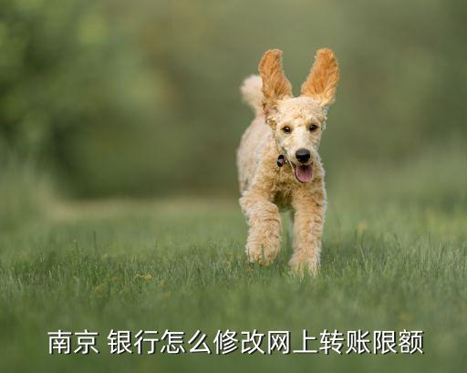 南京銀行個人網