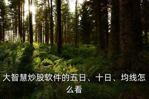 大智慧炒股軟件的五日、十日、均線怎么看