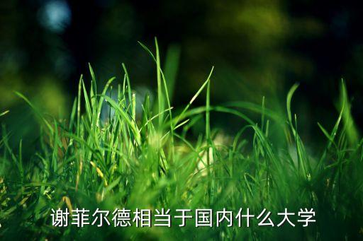  謝菲爾德相當于國內(nèi)什么大學