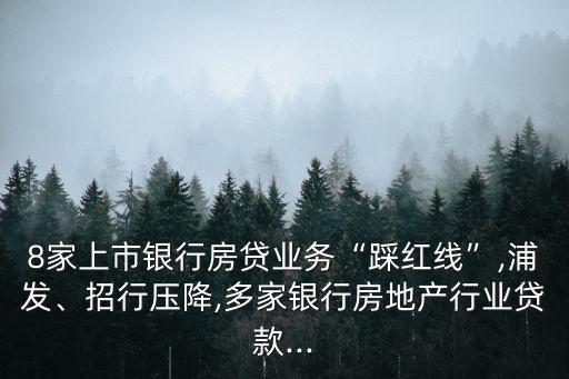 8家上市銀行房貸業(yè)務“踩紅線”,浦發(fā)、招行壓降,多家銀行房地產(chǎn)行業(yè)貸款...