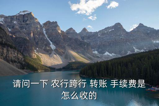 請問一下 農行跨行 轉賬 手續(xù)費是怎么收的