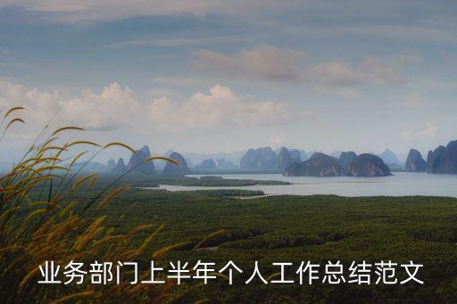  業(yè)務部門上半年個人工作總結(jié)范文