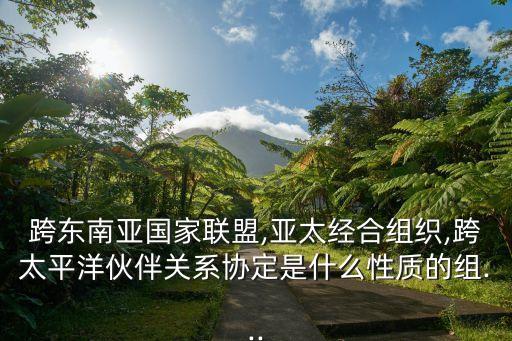 跨東南亞國家聯(lián)盟,亞太經合組織,跨太平洋伙伴關系協(xié)定是什么性質的組...