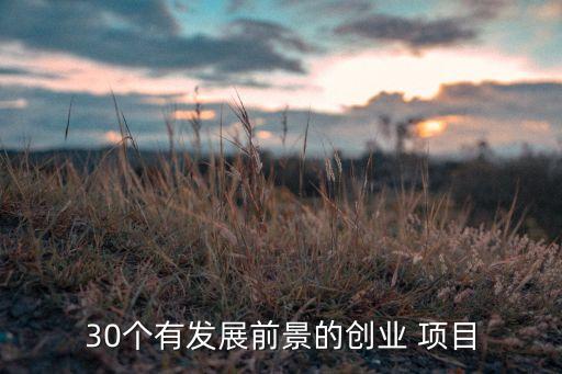 效益最好的三大投資項目,在貫徹效益性原則時,要處理好投資項目