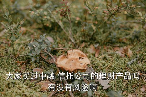 大家買(mǎi)過(guò)中融 信托公司的理財(cái)產(chǎn)品嗎有沒(méi)有風(fēng)險(xiǎn)啊