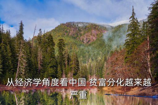 從經(jīng)濟學角度看中國 貧富分化越來越嚴重