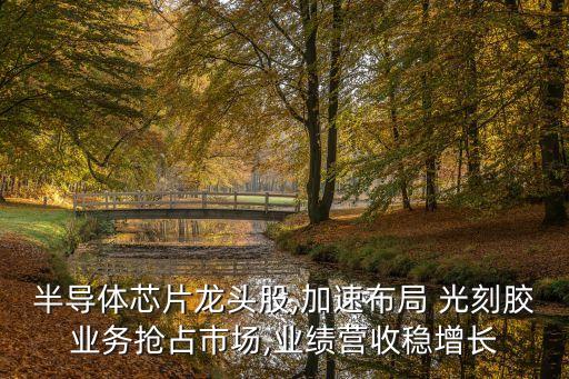 半導(dǎo)體芯片龍頭股,加速布局 光刻膠業(yè)務(wù)搶占市場(chǎng),業(yè)績(jī)營收穩(wěn)增長(zhǎng)