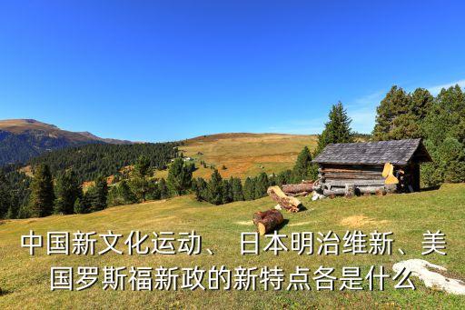 中國新文化運(yùn)動(dòng)、 日本明治維新、美國羅斯福新政的新特點(diǎn)各是什么