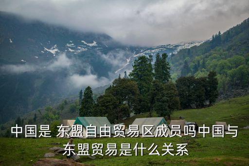 中國是 東盟自由貿(mào)易區(qū)成員嗎中國與 東盟貿(mào)易是什么關系