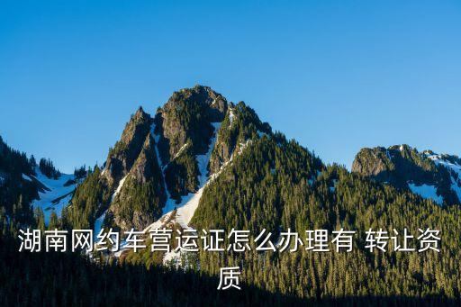 開(kāi)元汽車運(yùn)輸公司轉(zhuǎn)讓,汽車運(yùn)輸公司轉(zhuǎn)讓協(xié)議完整版