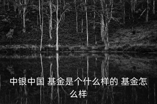 中銀中國(guó) 基金是個(gè)什么樣的 基金怎么樣