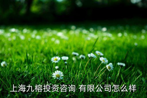 上海九榕投資咨詢(xún) 有限公司怎么樣
