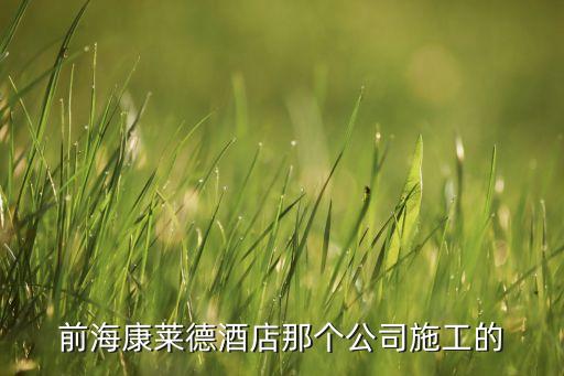 前?？等R德酒店那個公司施工的