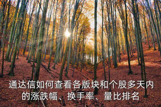  通達(dá)信如何查看各版塊和個(gè)股多天內(nèi)的漲跌幅、換手率、量比排名