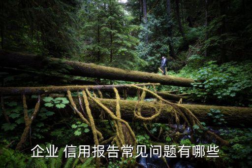 擔(dān)保公司信用評(píng)級(jí)查詢(xún)
