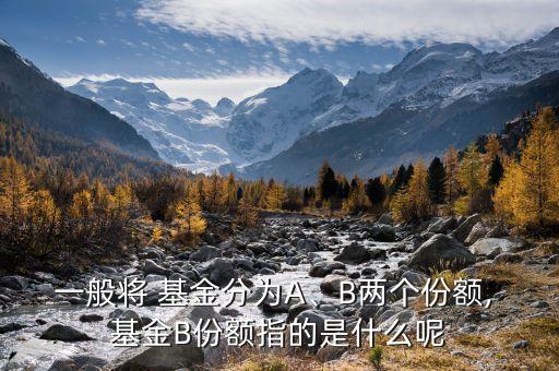 一般將 基金分為A、B兩個份額, 基金B(yǎng)份額指的是什么呢