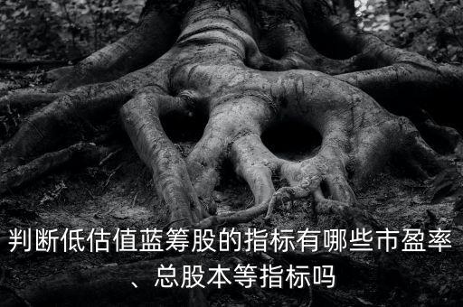 判斷低估值藍(lán)籌股的指標(biāo)有哪些市盈率、總股本等指標(biāo)嗎