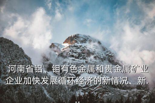  河南省鋁、鉬有色金屬和貴金屬礦業(yè)企業(yè)加快發(fā)展循環(huán)經(jīng)濟的新情況、新...
