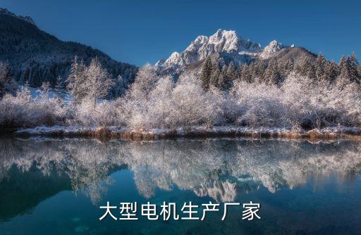 臥龍電氣集團(tuán)股份有限公司電話(huà),上虞臥龍電氣集團(tuán)股份有限公司