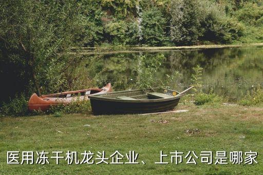 醫(yī)用凍干機(jī)龍頭企業(yè)、上市公司是哪家
