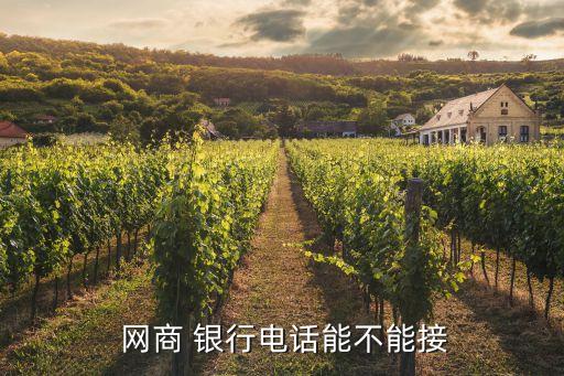  網商 銀行電話能不能接