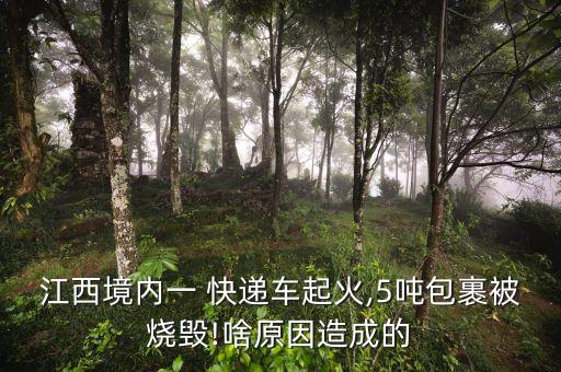江西境內一 快遞車起火,5噸包裹被燒毀!啥原因造成的