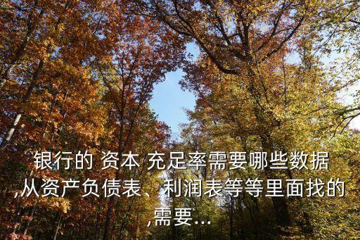 銀行的 資本 充足率需要哪些數(shù)據(jù),從資產(chǎn)負債表、利潤表等等里面找的,需要...
