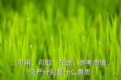 ...可用、可取、在途、參考市值、資產(chǎn)分別是什么意思