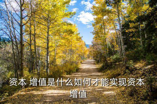 資本 增值是什么如何才能實現資本 增值