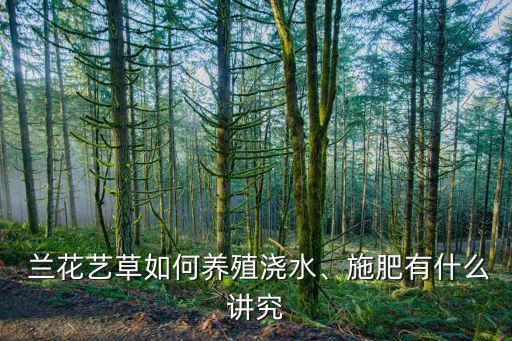  蘭花藝草如何養(yǎng)殖澆水、施肥有什么講究