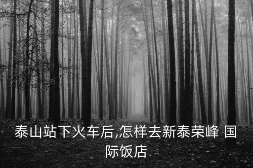 榮豐國(guó)際是誰說的公司