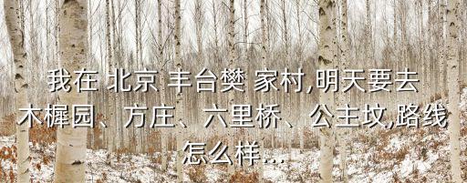 我在 北京 豐臺(tái)樊 家村,明天要去木樨園、方莊、六里橋、公主墳,路線怎么樣...