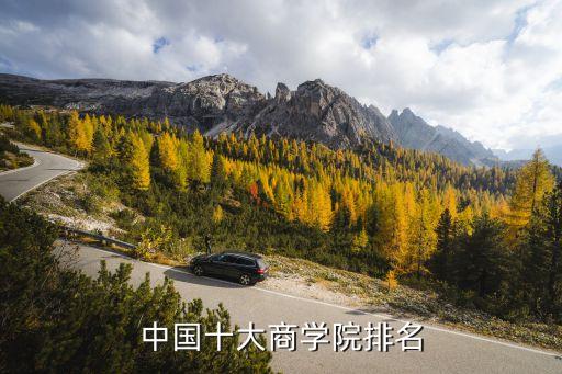 北京大學新興市場國家研究院