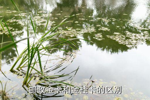 淺談郵儲(chǔ)銀行中高端客戶(hù)群細(xì)分