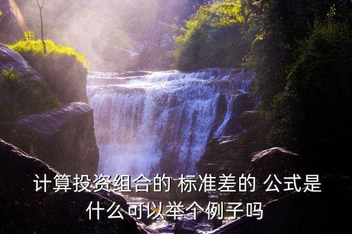  計算投資組合的 標準差的 公式是什么可以舉個例子嗎