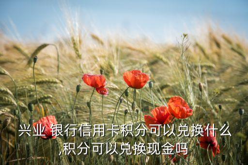  興業(yè) 銀行信用卡積分可以?xún)稉Q什么,積分可以?xún)稉Q現(xiàn)金嗎
