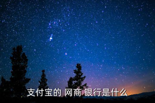 支付寶的 網商 銀行是什么