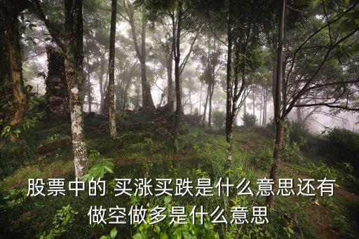  股票中的 買(mǎi)漲買(mǎi)跌是什么意思還有做空做多是什么意思