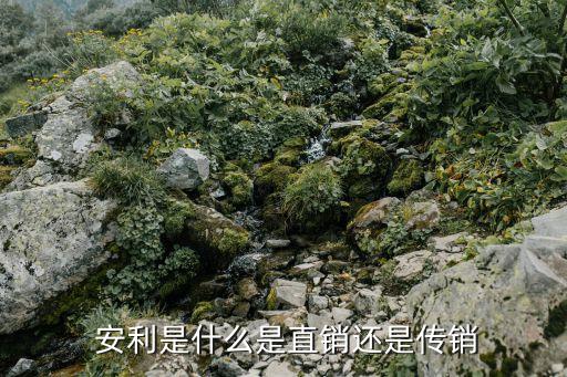  安利是什么是直銷(xiāo)還是傳銷(xiāo)