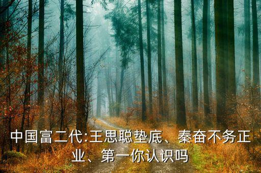 中國(guó)富二代:王思聰墊底、秦奮不務(wù)正業(yè)、第一你認(rèn)識(shí)嗎