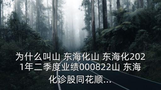 為什么叫山 東海化山 東?；?021年二季度業(yè)績000822山 東?；\股同花順...