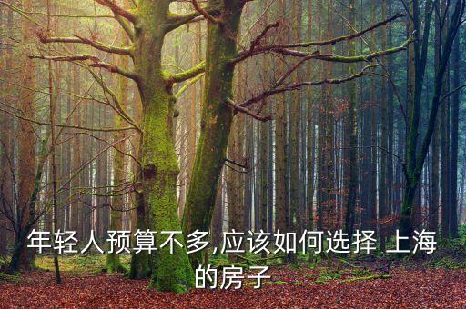 小白領白領在上?？赡苜I房嗎