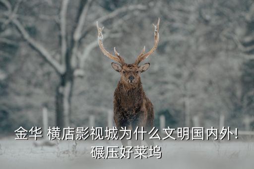金華 橫店影視城為什么文明國(guó)內(nèi)外!碾壓好萊塢