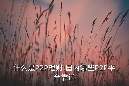 什么是P2P理財(cái),國內(nèi)哪些P2P平臺(tái)靠譜