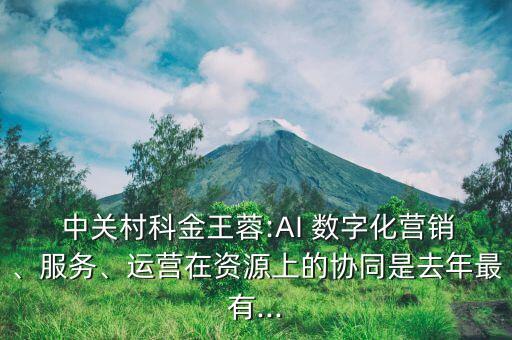  中關(guān)村科金王蓉:AI 數(shù)字化營(yíng)銷(xiāo)、服務(wù)、運(yùn)營(yíng)在資源上的協(xié)同是去年最有...