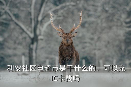  利安社區(qū)電超市是干什么的、可以充IC卡費(fèi)嗎