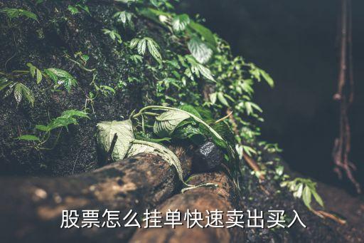  股票怎么掛單快速賣出買(mǎi)入