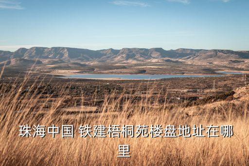  珠海中國(guó) 鐵建梧桐苑樓盤(pán)地址在哪里